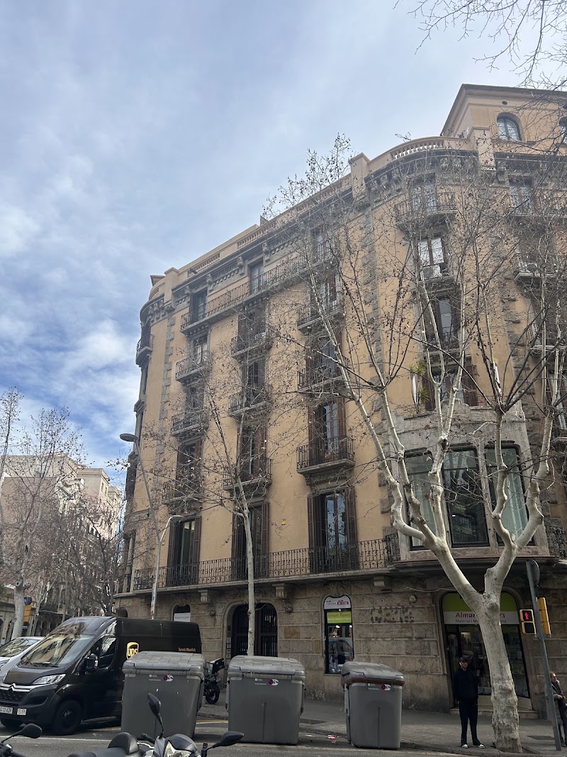 Miopciónlegal Abogados